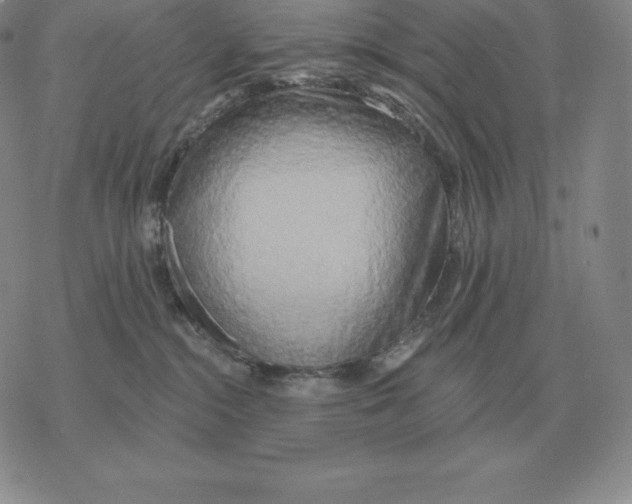 X0000069380284200606091658