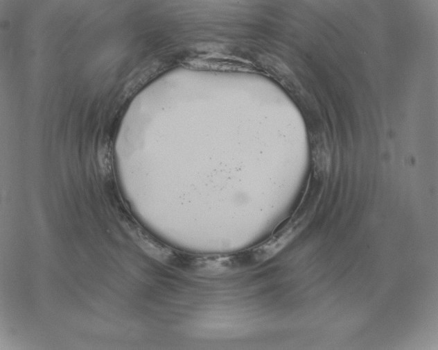 X0000069380285200606091658