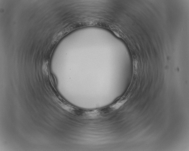 X0000069380286200606091658