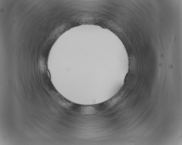 X0000069380287200606091659