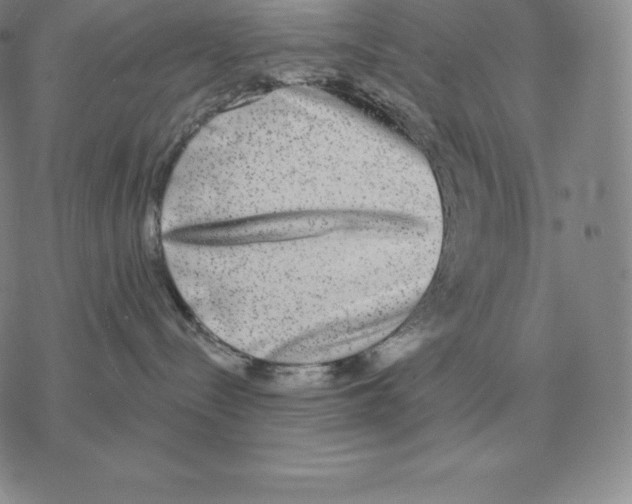 X0000069380288200606091659