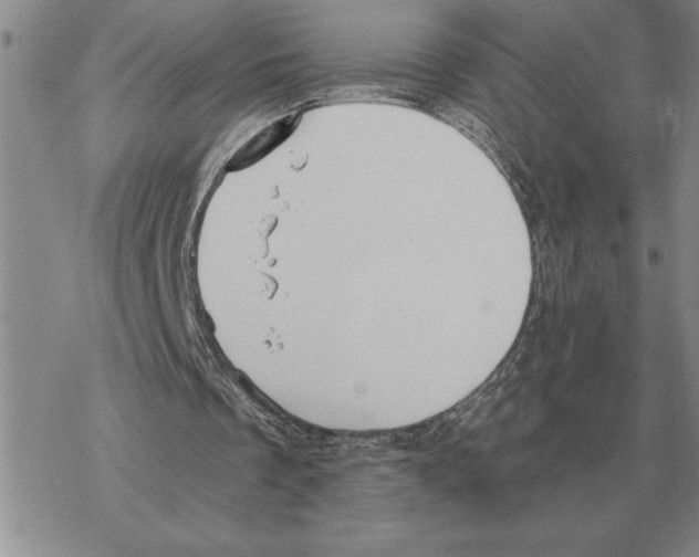 X0000069380289200606091658