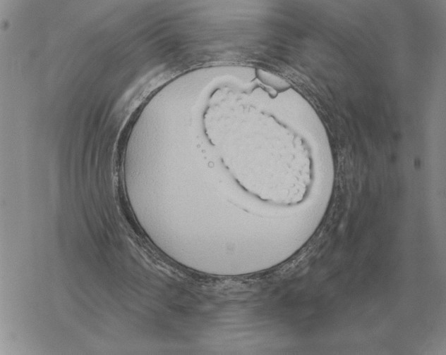 X0000069380290200606091658