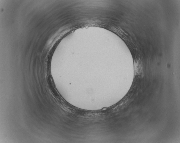 X0000069380291200606091658