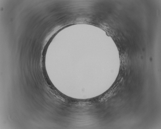 X0000069380292200606091658