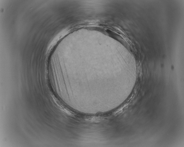 X0000069380293200606091658