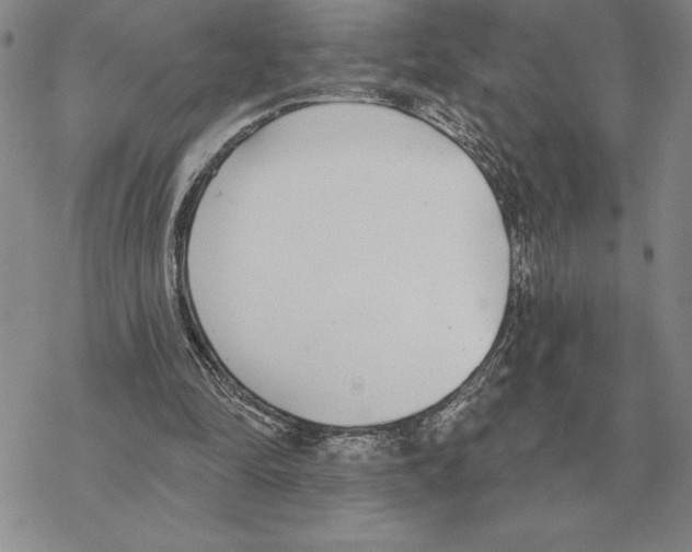 X0000069380294200606091658