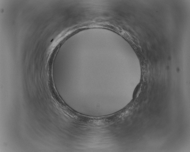 X0000069380295200606091658