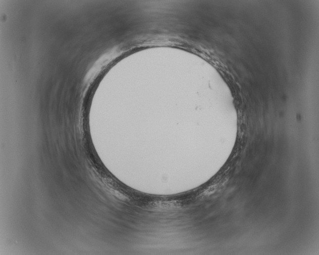 X0000069380296200606091658