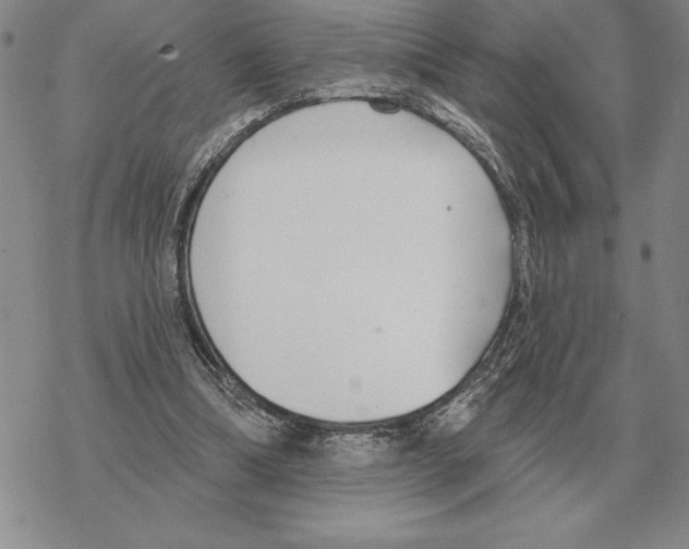 X0000069380298200606091658