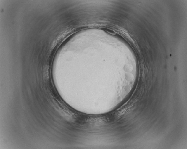 X0000069380299200606091658