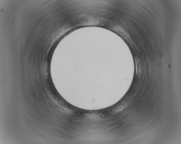 X0000069380300200606091658