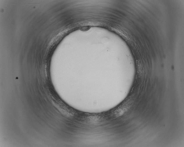 X0000069380302200606091658