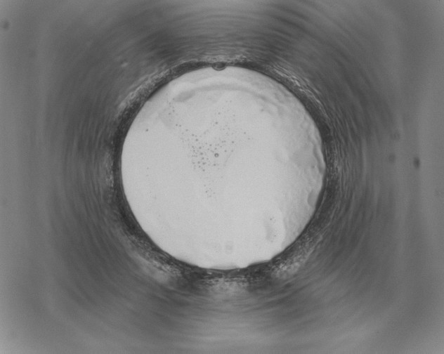 X0000069380303200606091658