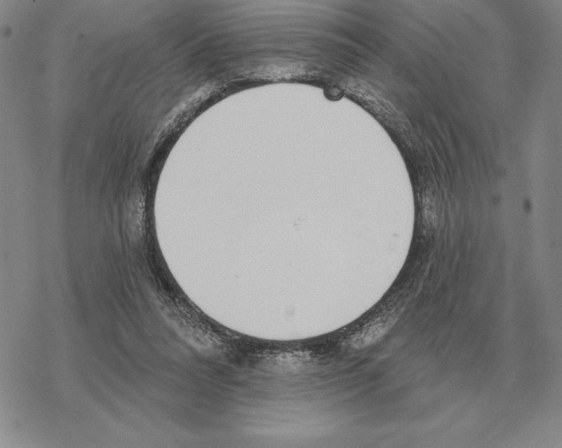 X0000069380304200606091657