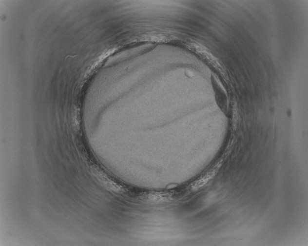 X0000069380305200606091657