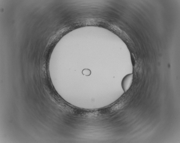 X0000069380306200606091657