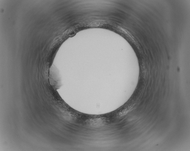 X0000069380307200606091657