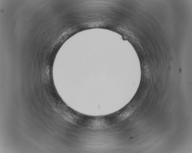 X0000069380308200606091657