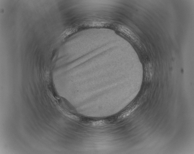 X0000069380309200606091657