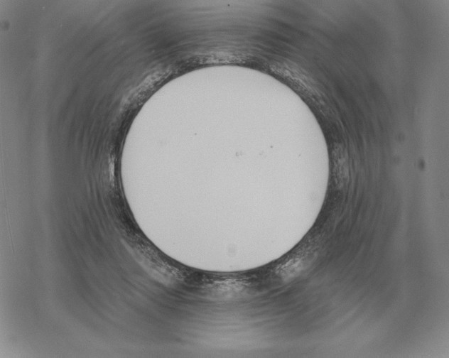 X0000069380310200606091657