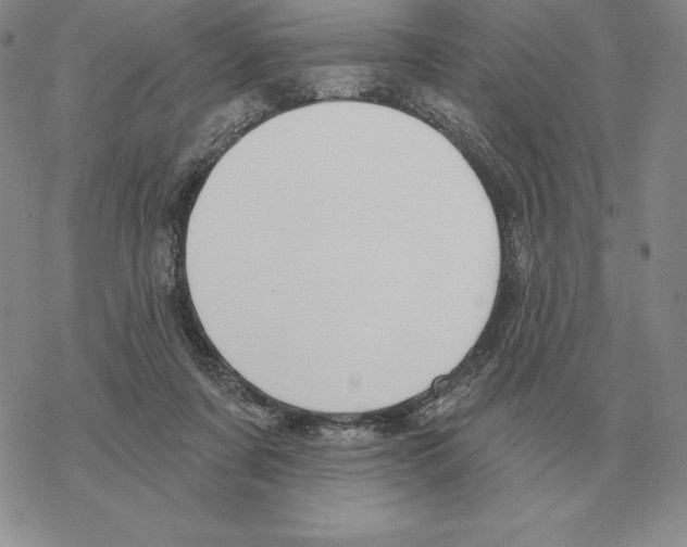 X0000069380311200606091657