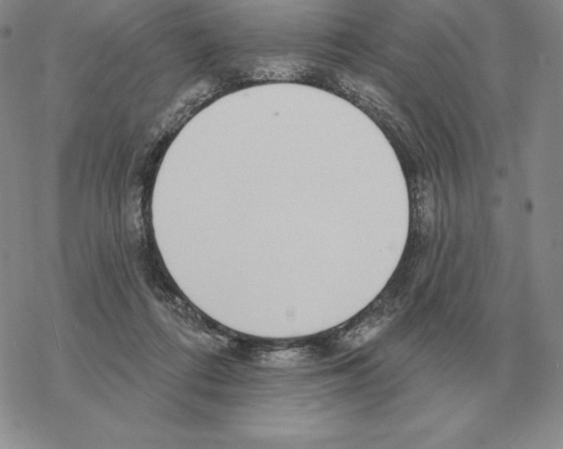 X0000069380312200606091657