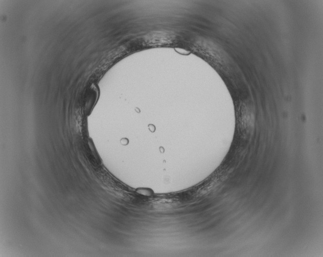 X0000069380315200606091657