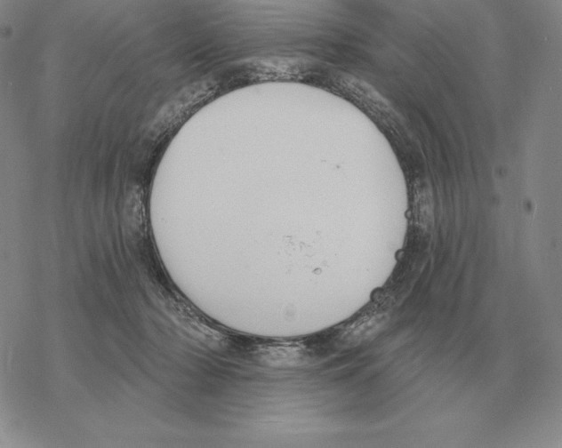 X0000069380318200606091657