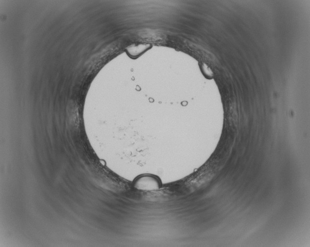 X0000069380320200606091657