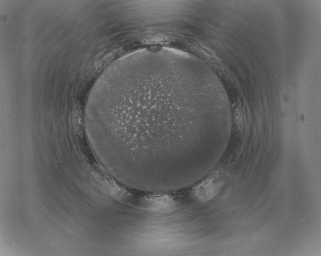 X0000069380322200606091657