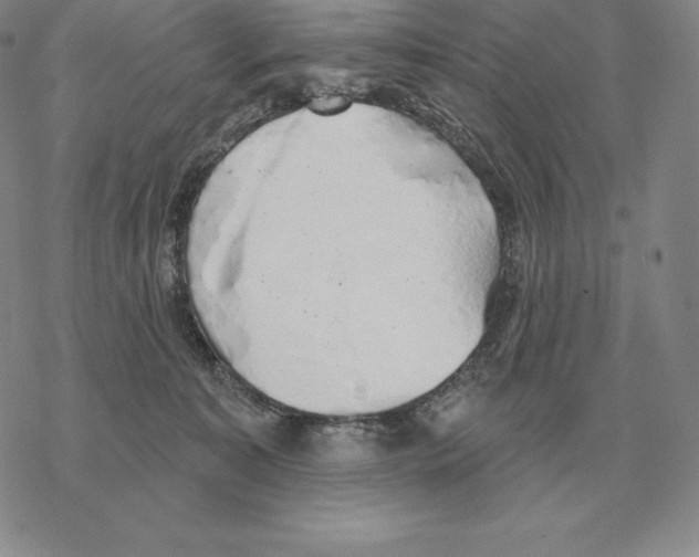 X0000069380323200606091657