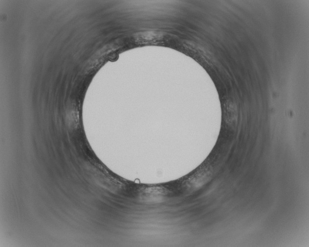 X0000069380324200606091657