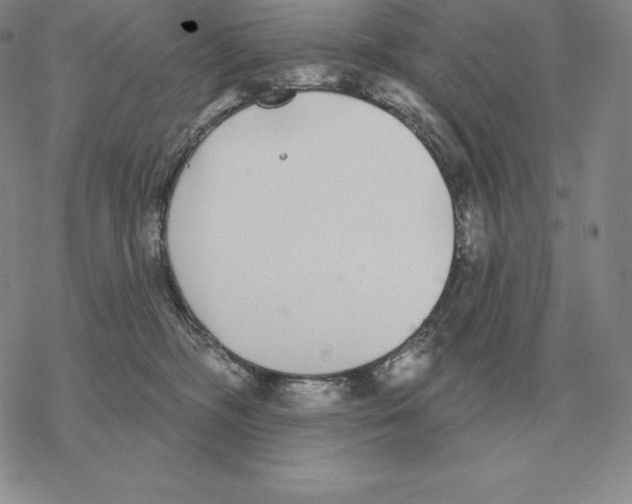 X0000069380326200606091657