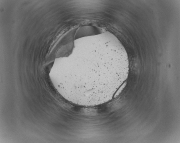 X0000069380327200606091657