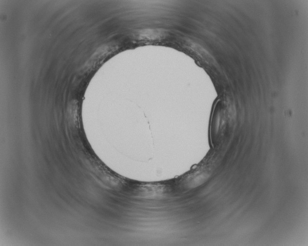 X0000069380328200606091657