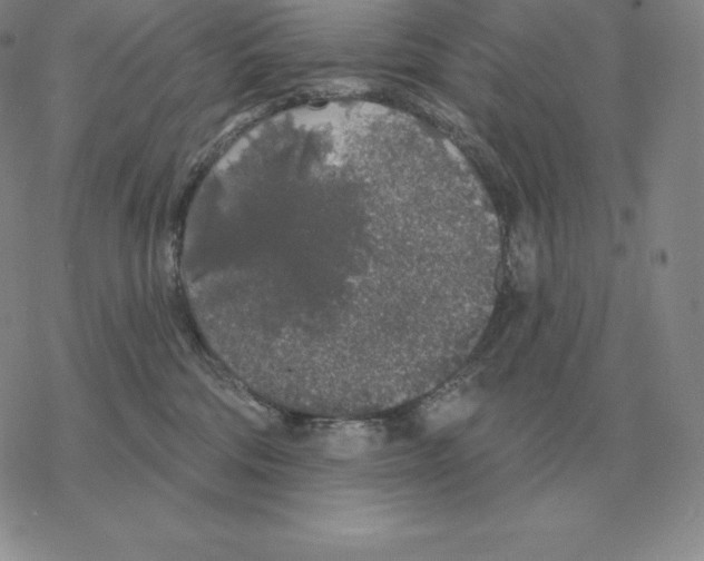 X0000069380330200606091657