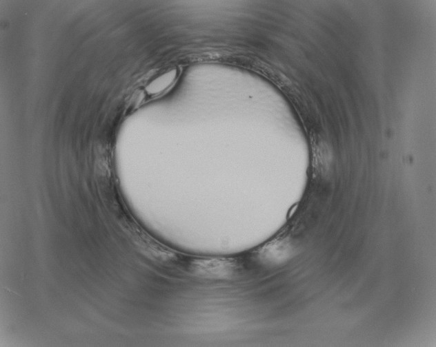 X0000069380331200606091657