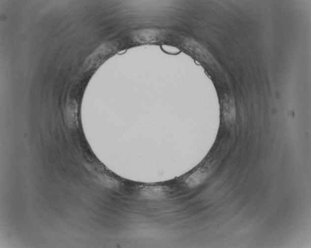 X0000069380332200606091657