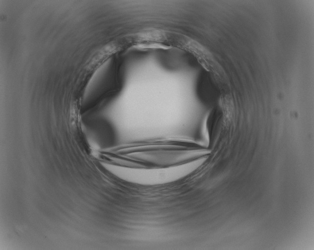 X0000069380333200606091657