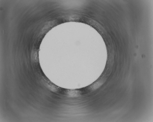 X0000069380336200606091657