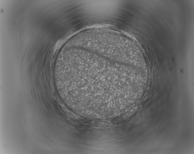 X0000069380337200606091656