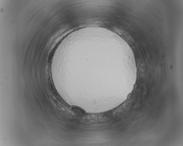 X0000069380338200606091656