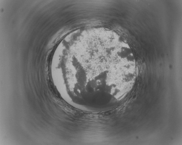 X0000069380339200606091656