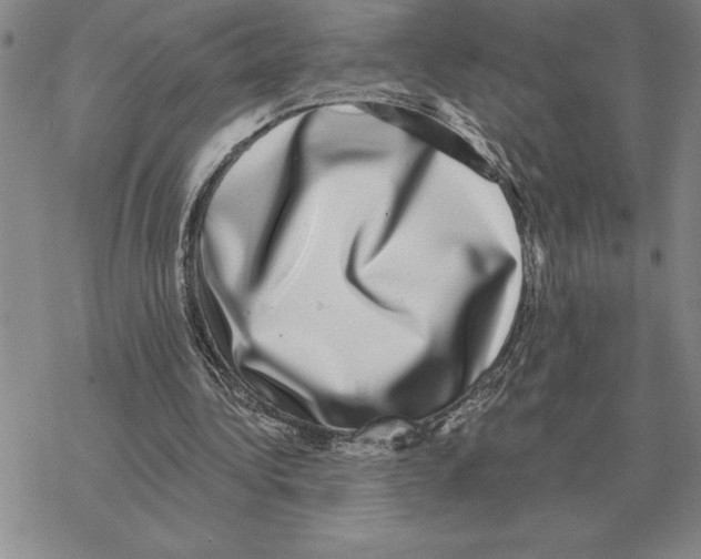 X0000069380340200606091656