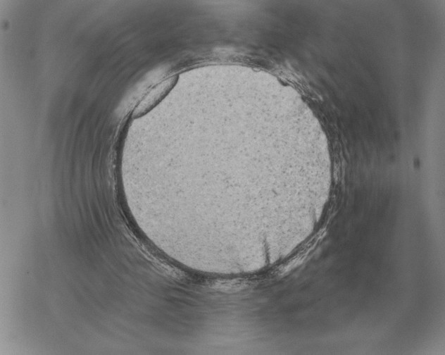 X0000069380341200606091656