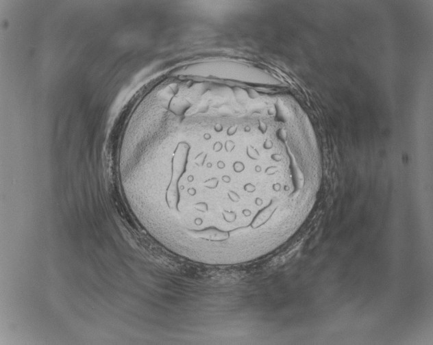 X0000069380343200606091656