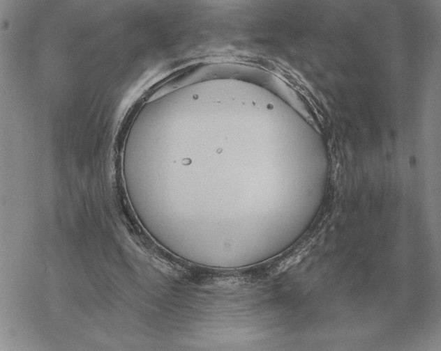 X0000069380344200606091656