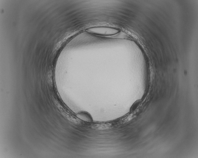 X0000069380345200606091656