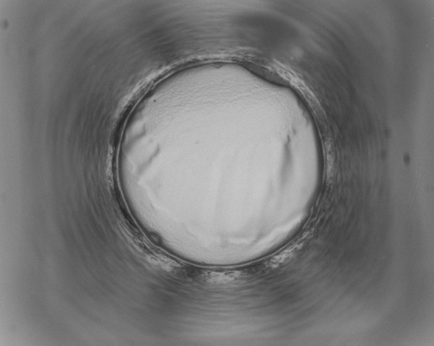 X0000069380346200606091656